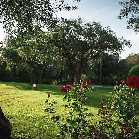 Panorama Hideaway Aparthotel Дасия Екстериор снимка